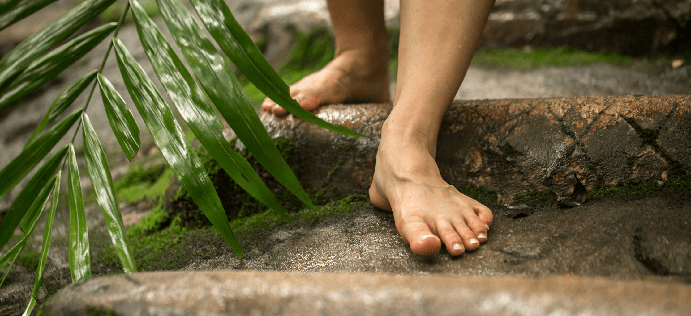 Close up of feet walking on rocks through jungle