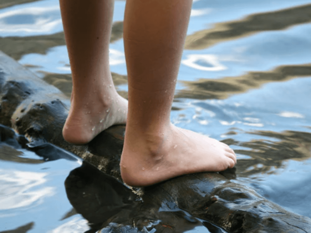 Feet on branch above water