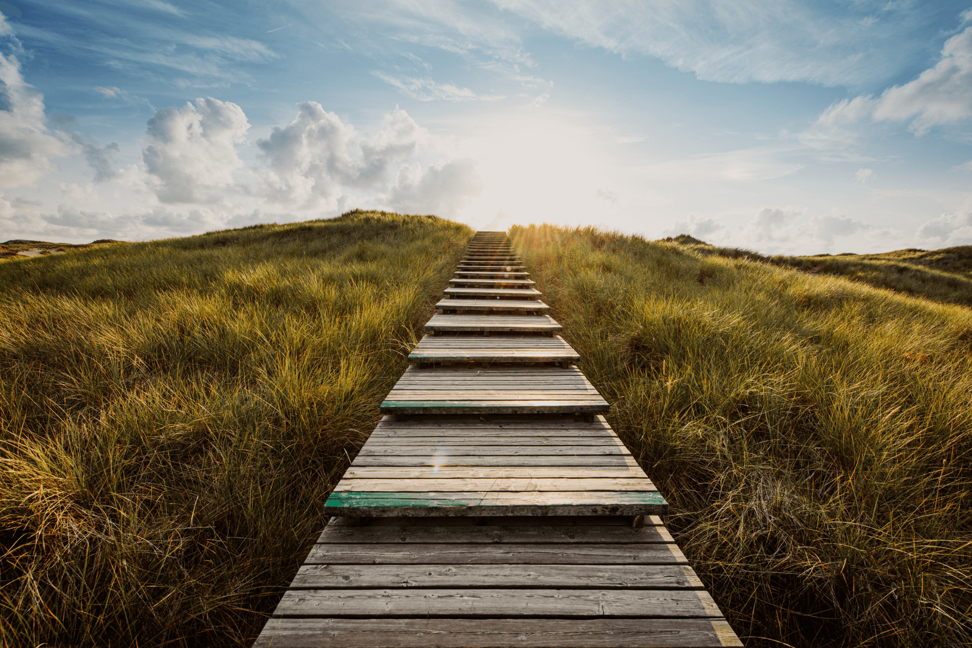 Wooden path through grassy hills